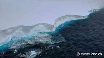 World's biggest iceberg appears to have run aground near remote British island