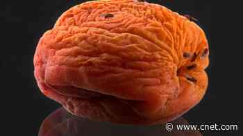 Entomologist Hacks to Prevent Fruit Flies in Your Home