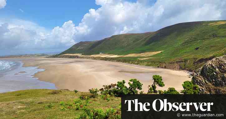 Wales on a plate: 10 of the best restaurants, hotels, pubs and food hubs