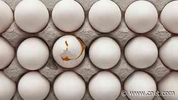 Fresh or Foul? Expert Reveals Egg Shelf Life in Your Fridge