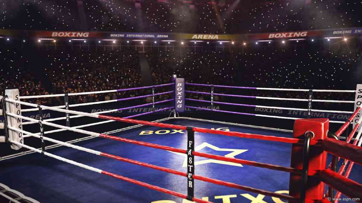 WBC not concerned with TKO boxing promotion