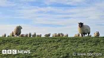 Your pictures of Scotland: 28 February - 7 March