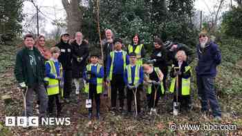 Children planting trees to address climate change