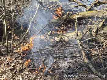 Brandweer ingezet voor brand in bos