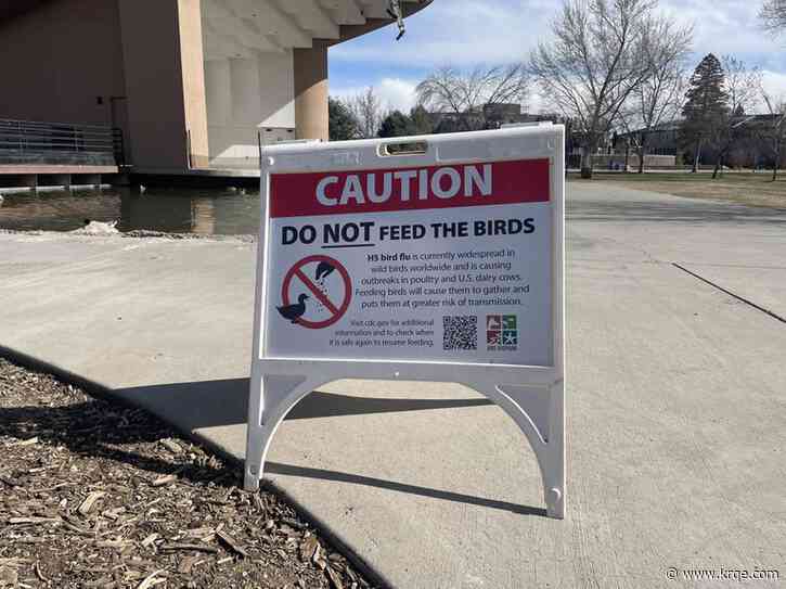 ABQ BioPark moves some birds indoors to protect them from avian flu