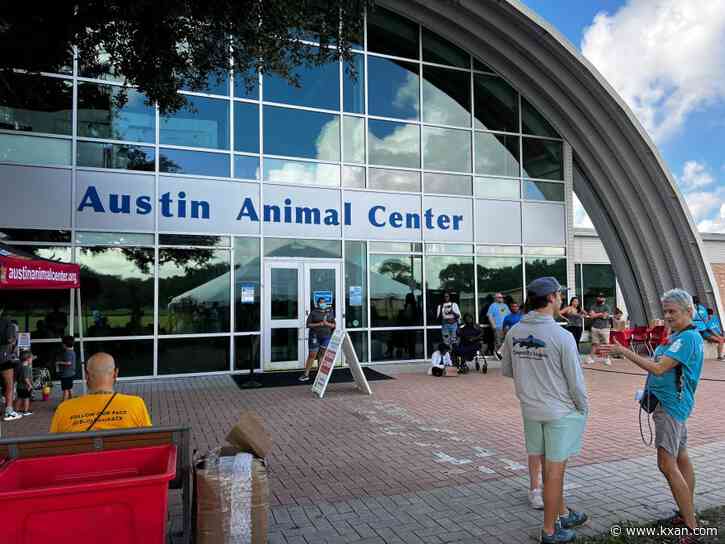 How proposed strategic plan could revamp Austin's animal services, shelter operations