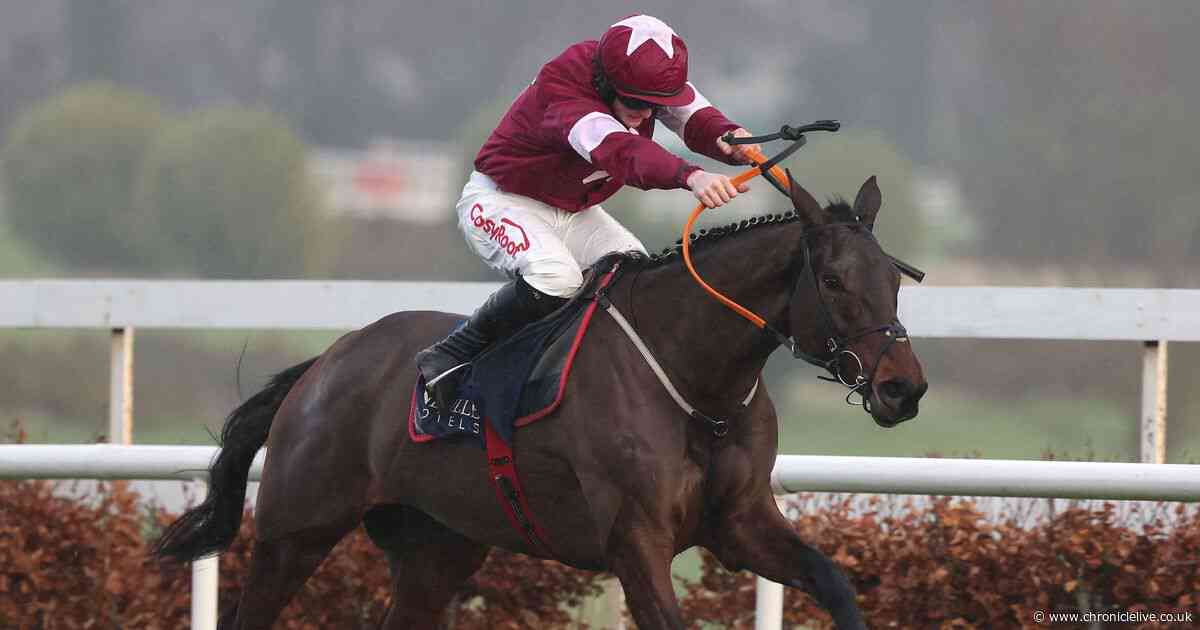 Cheltenham Festival 2025: Brighterdaysahead confidence for Champion Hurdle