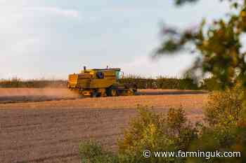 Farm business incomes forecast to rise for all sectors except cereals