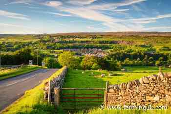 Councils to be given more powers to seize land for housebuilding