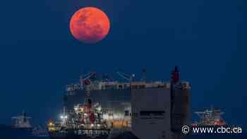 North America will have a blood worm moon this week. Here's how you can see it