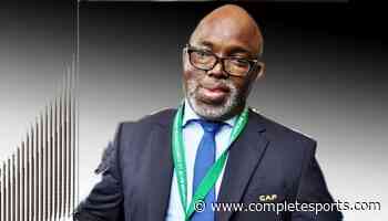 Pinnick Loses FIFA Council Seat