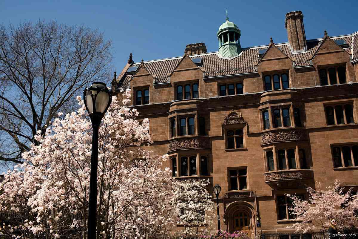 Yale Suspends Palestine Activist After AI Article Linked Her to Terrorism