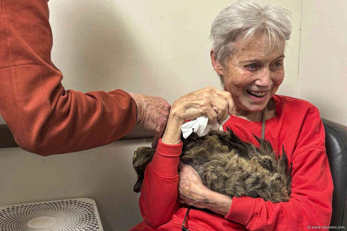 Owner reunited with her cat months after Palisades Fire destroyed her home