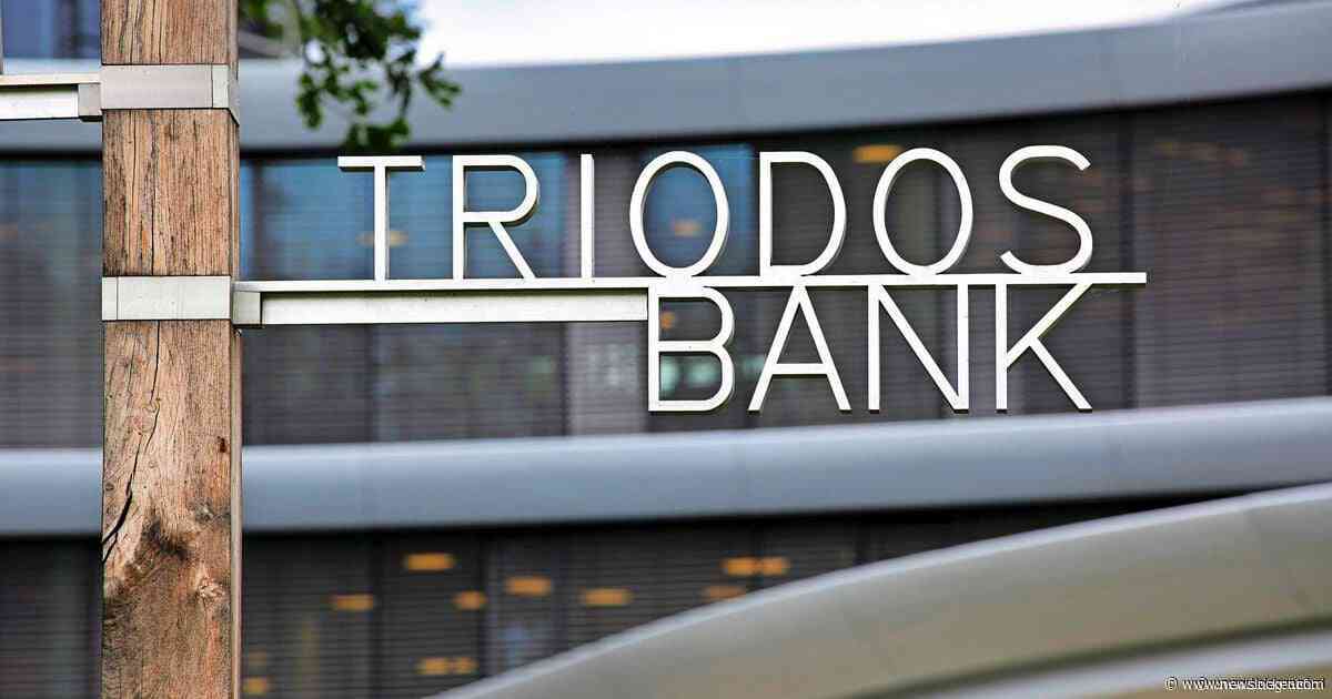 Triodos duikt door schikking nipt in verlies