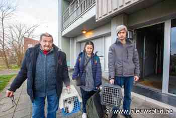 “Op kousen en op de tast naar buiten”: ondanks totale chaos konden 72 bewoners vlot geëvacueerd worden na appartementbrand