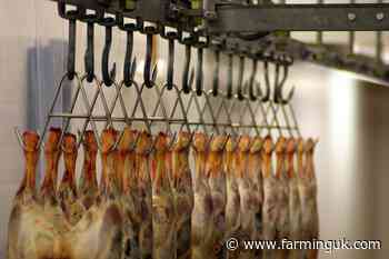 &#39;Very real threat&#39;: Concern raised as sheep imports into UK surge