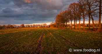 Veel minder arme boeren dan arme burgers