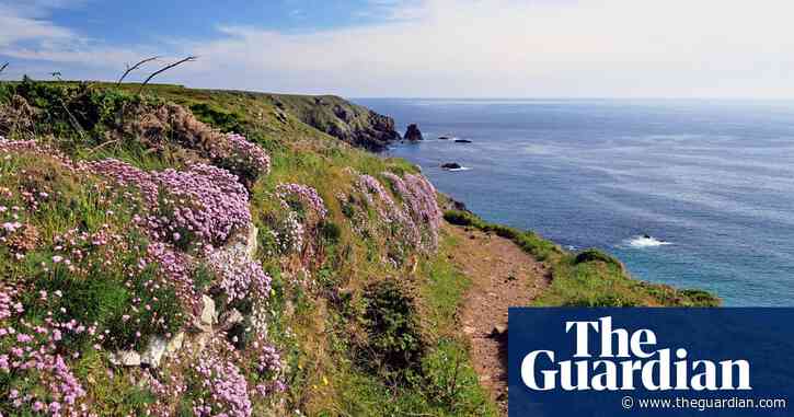 ‘Spring sings with birdlife and wildflowers’: readers’ favourite UK trips of the season