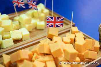 UK food exports to EU plummet due to &#39;complexity and bureaucracy&#39;