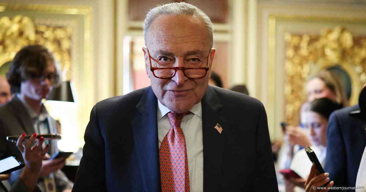 Schumer Flinches, Tells Democrats to Back Down and Support GOP Plan