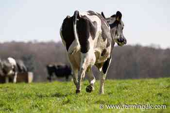 New requirements to combat Johne’s disease soon roll out