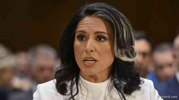 Gabbard vows to 'aggressively pursue' intel leakers