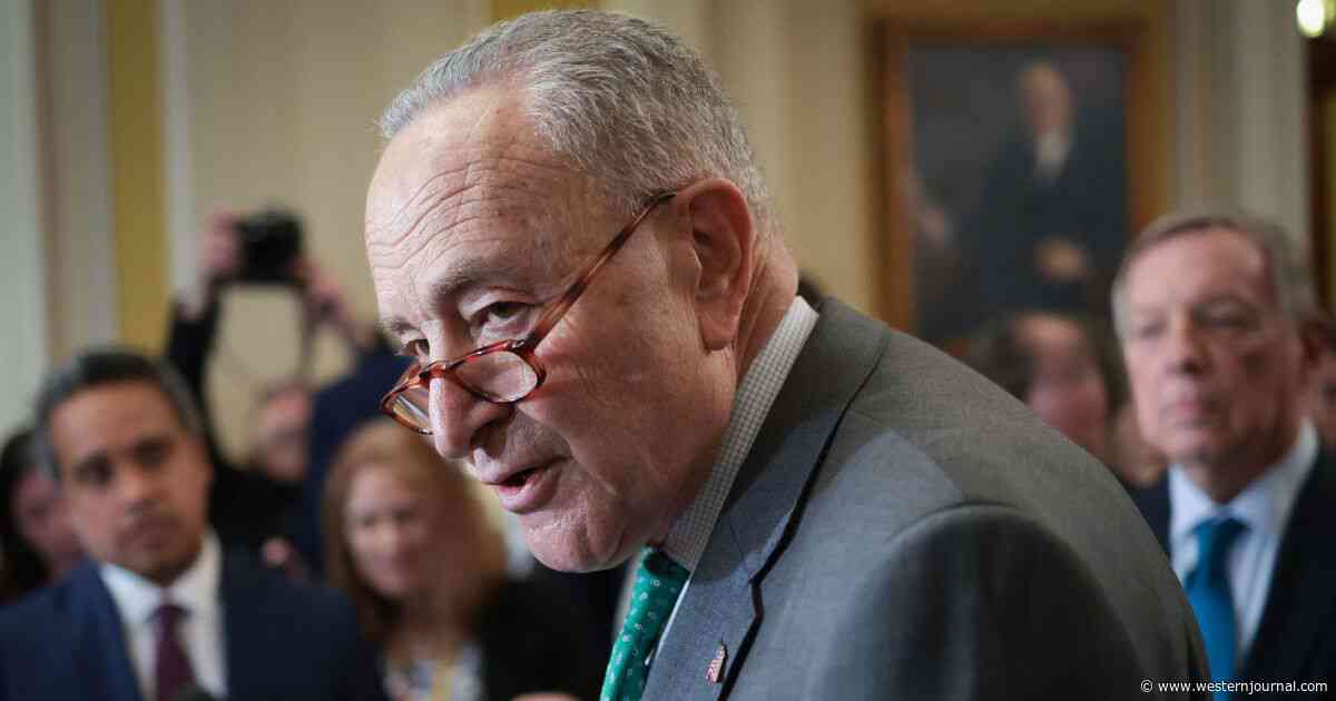 Senate Democrats Are Self-Destructing After Schumer Caught Them Off Guard by Caving to House Republicans