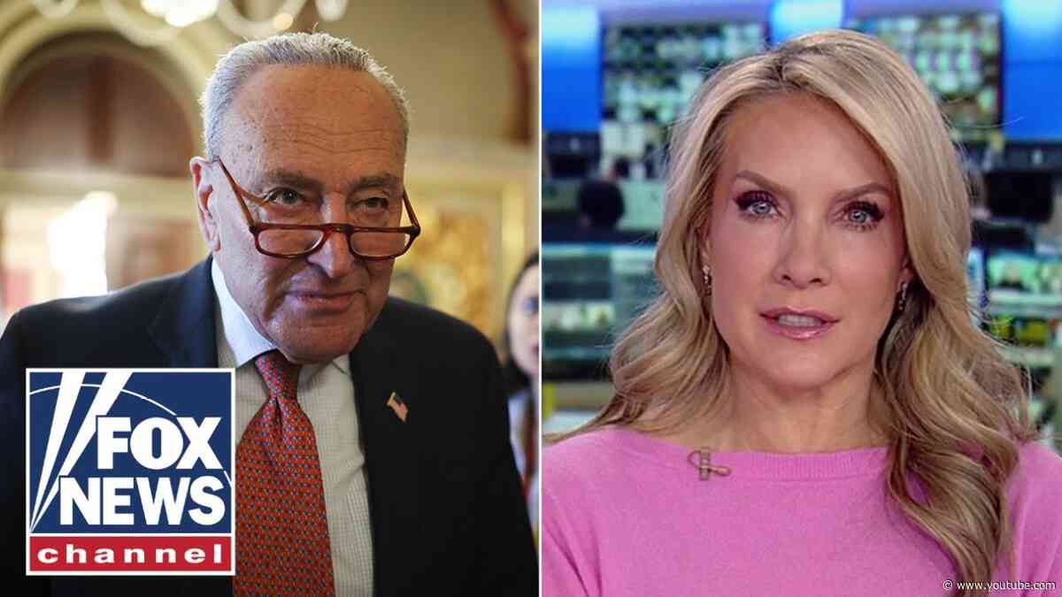 Dana Perino: Schumer has no friends this morning in Washington