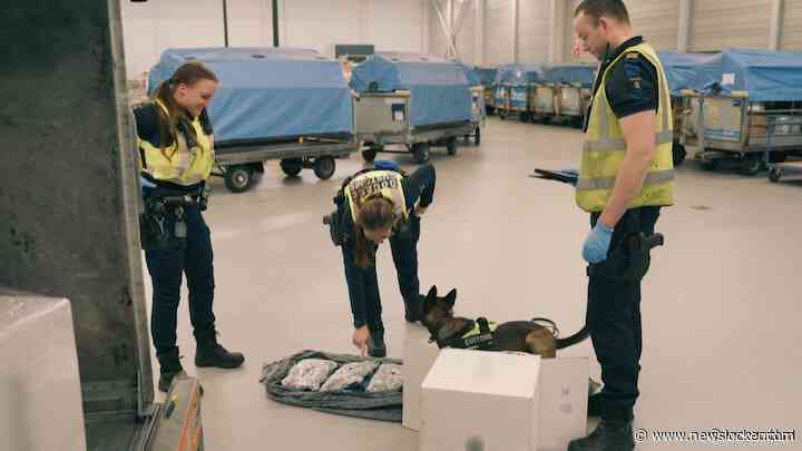 Twee grote vondsten door Douane: verdovende middelen in post Schiphol