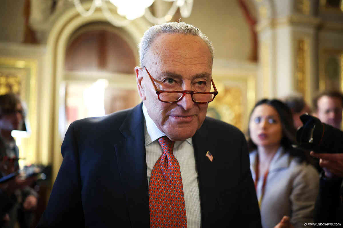 Democratic anger over 'Schumer surrender' shows party's deep divisions on how to take on Trump