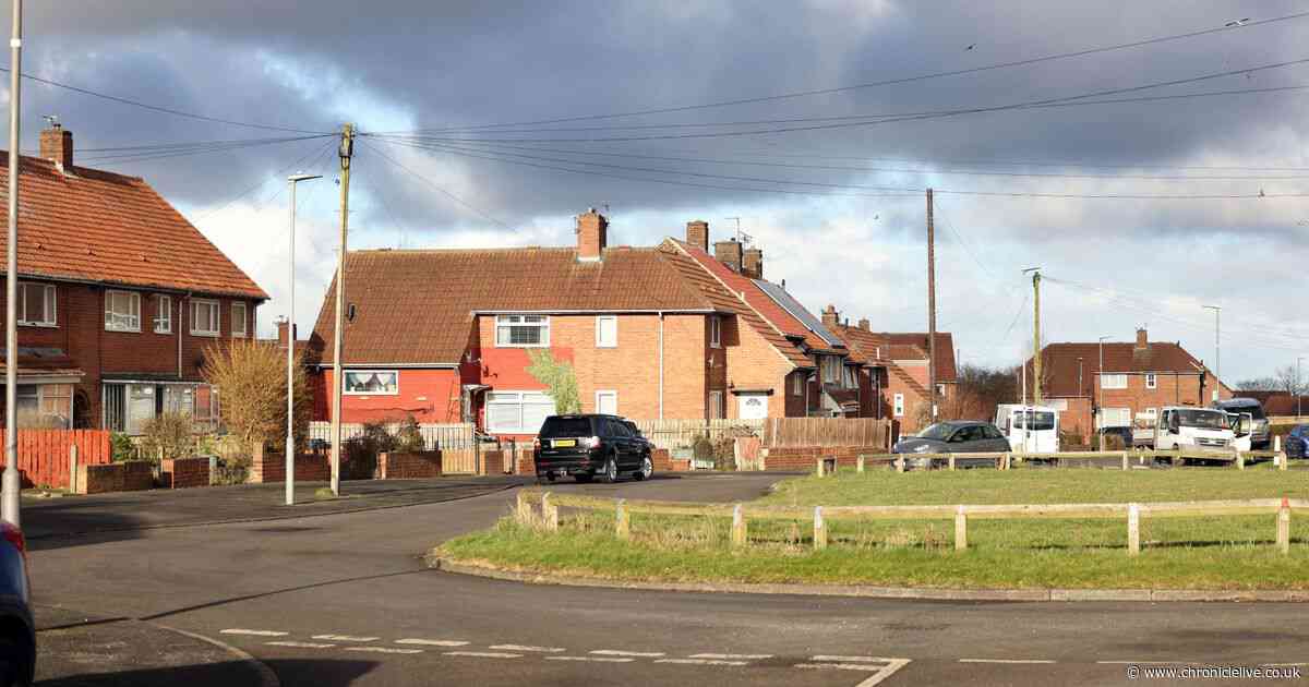 Brawl breaks out on Gateshead street after cars driven into one another