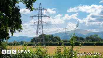 Pylon construction plan opposed by council