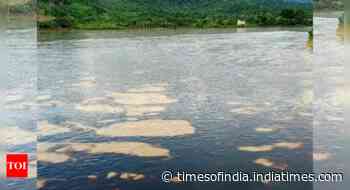 Oil spill in Ecuador river brings emergency declaration