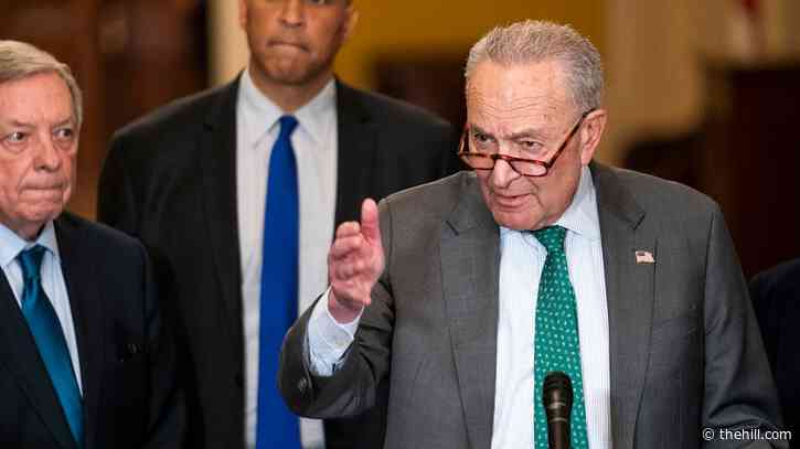 Schumer on voting for funding bill: Trump, Musk 'damage' could be 'much worse' under shutdown