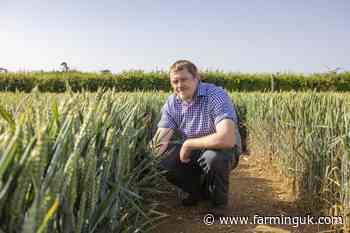 &#39;Do not wait&#39;: Agronomist offers advice after cancer diagnosis at 42