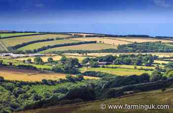 Labour&#39;s compulsory purchase plan &#39;another attack&#39; on countryside