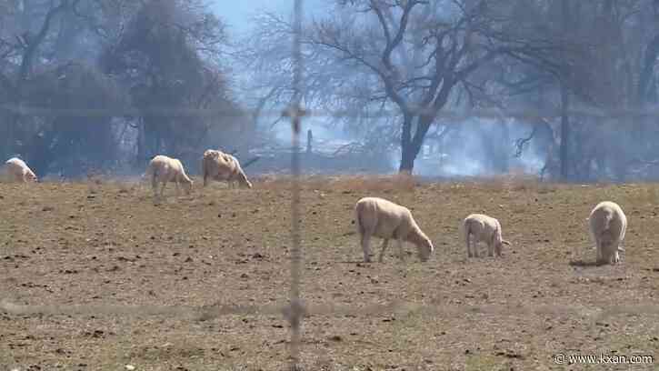 Ranchers, livestock owners impacted by 9,700+ acre wildfire near Fredericksburg