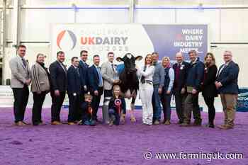 Holstein champion Mag Pandor given top title for second time