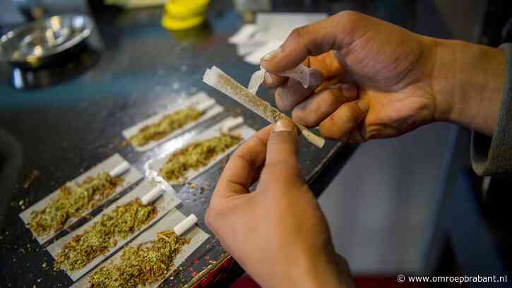 Dit vinden doorgewinterde blowers van legale wiet uit coffeeshops