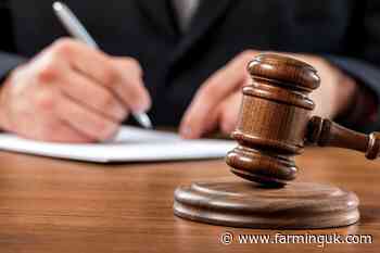 Animal feed firm fined nearly &#163;600,000 after worker loses arm