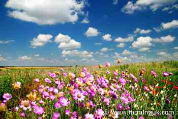 Countryside Stewardship 2025 revenue claims opens to farmers