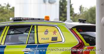 Man, 25, arrested upon landing at Manchester Airport almost two weeks after elderly woman 'stabbed in front garden'