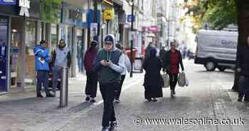Map shows one in three households are reliant on benefits in parts of Wales