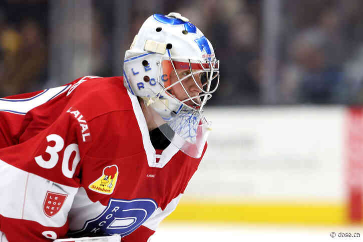 Record of 15-2-0: Cayden Primeau does everything he can to return to the NHL