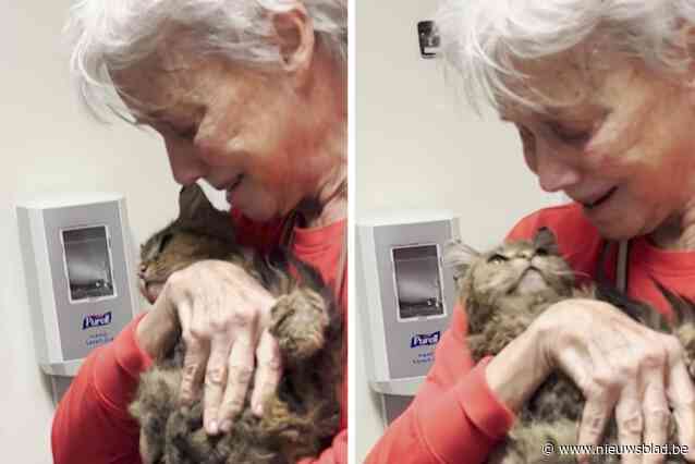 “Dacht dat ik je nooit meer zou zien”: Katherine (82) kan vermiste kat 2 maanden na bosbranden in LA eindelijk weer in de armen sluiten