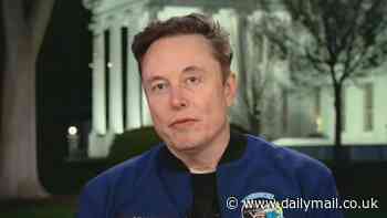 Musk exposes chilling new conspiracy against him and Tesla: 'I've never seen anything like this'