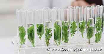 Do bioactives hold the key to improving nutrient density in food?