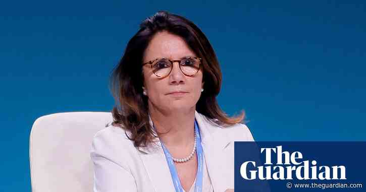 Countries must bolster climate efforts or risk war, Cop30 chief executive warns