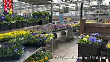 Garden centers prepare for nice weather as spring fever spreads