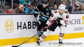 Chicago Blackhawks defensive cornerstone is impressing in his first NHL stint